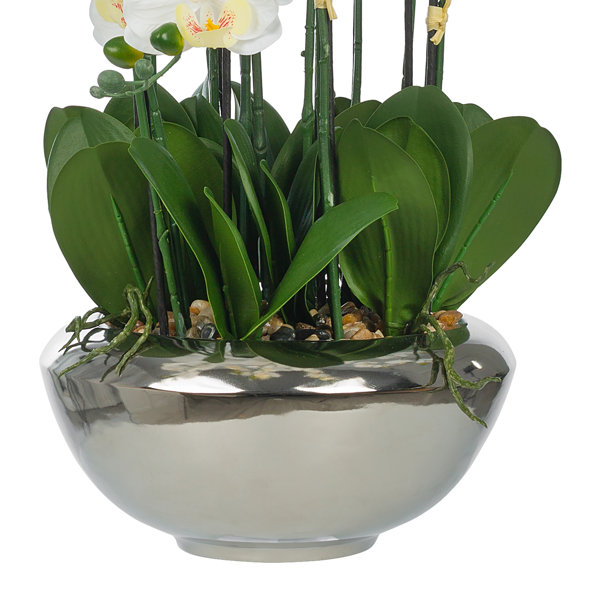 Vanity Art Plastic Phalaenopsis Orchids Floral Arrangement in Pot Wayfair